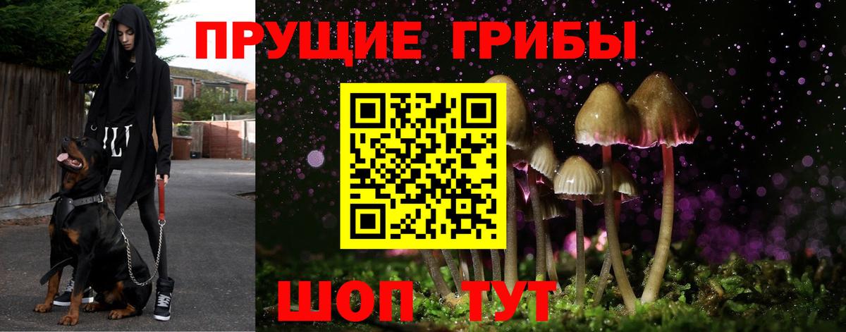 Галлюциногенные грибы GOLDEN TEACHER Великий Новгород