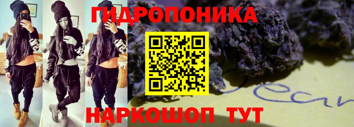 Бошки Шишки Bruce Banner  Бошки марихуана Amnesia  Великий Новгород  Вход с VPN 